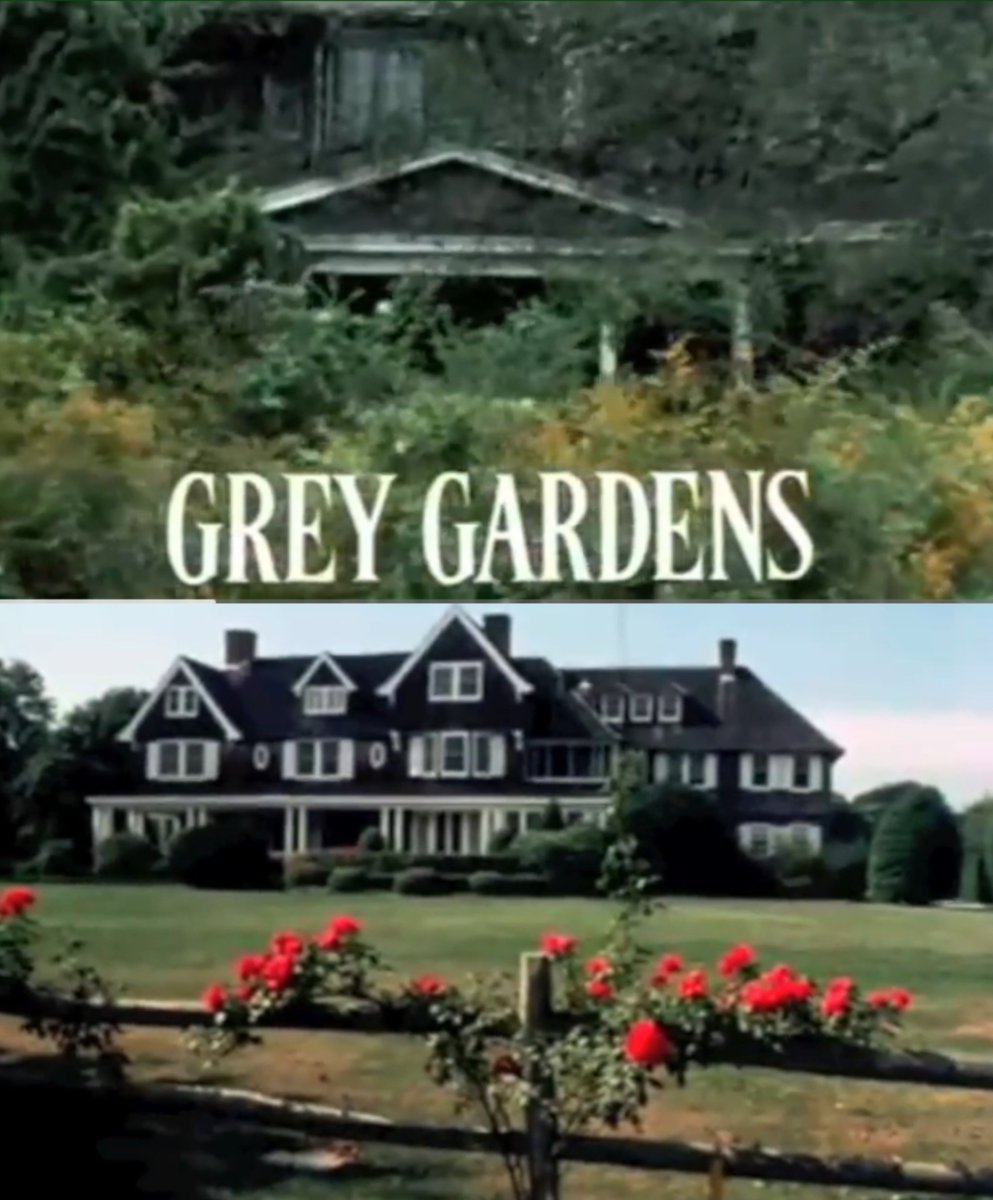 mitski_world's tweet image. A citação do telefone de Mitski de ontem “Você se torna muito independente quando vive sozinha...” é do documentário Grey Gardens, que retrata a vida reclusa de mãe e filha em uma mansão que chegou em condições degradantes: sem água, infestadas de pulgas e repleta de lixo