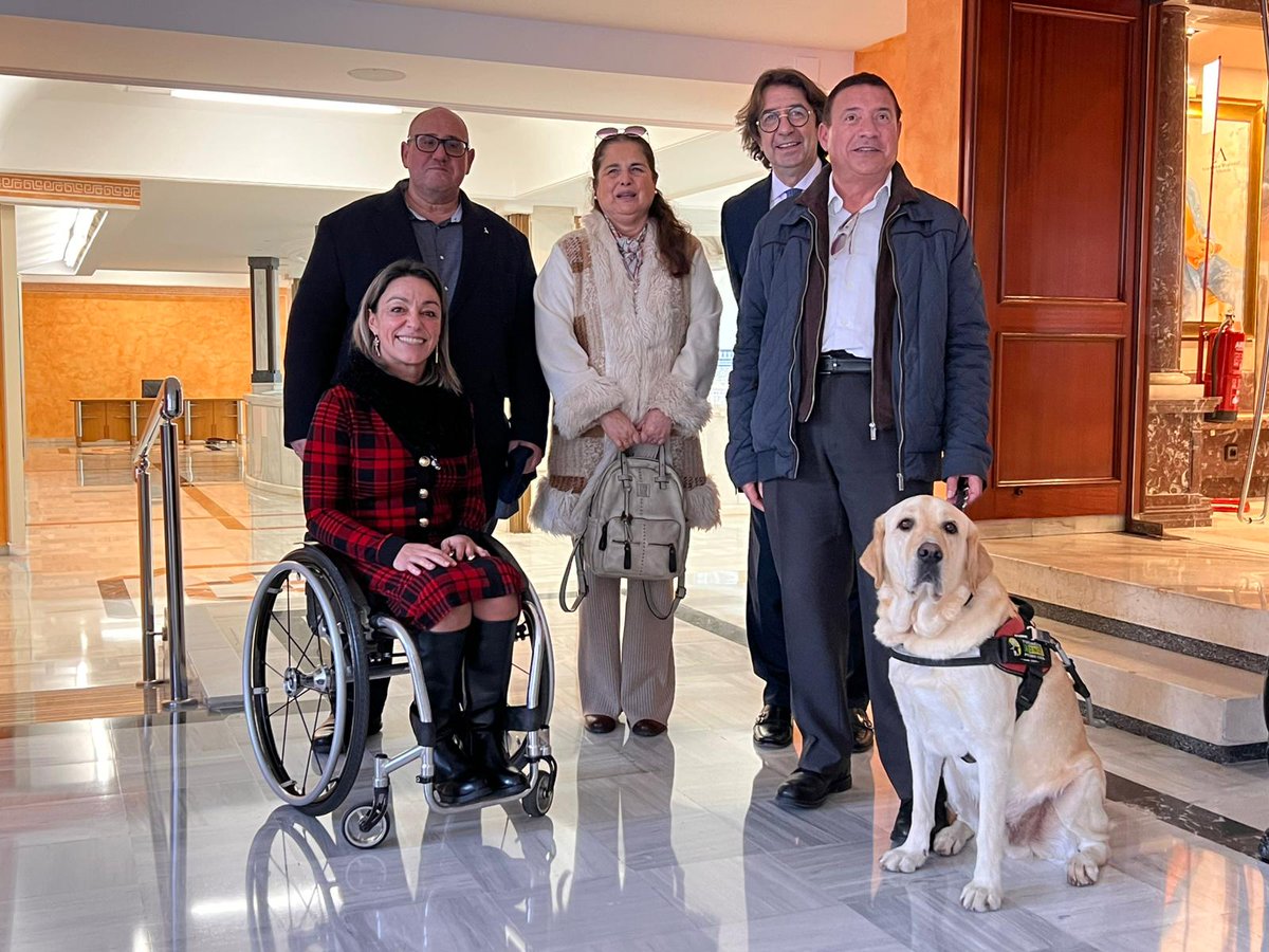 La Asamblea aprueba nuestra moción para solicitar un protocolo para mejorar la atención a usuarios con perro  guía y garantizar su traslado en ambulancias

"Reafirmamos nuestro compromiso con la igualdad de oportunidades" <a href="/SoniaRE06/">Sonia06</a> 

🔗bit.ly/4qrJtVC