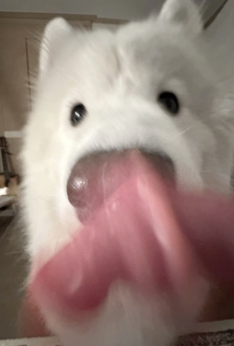 283trainee's tweet image. 