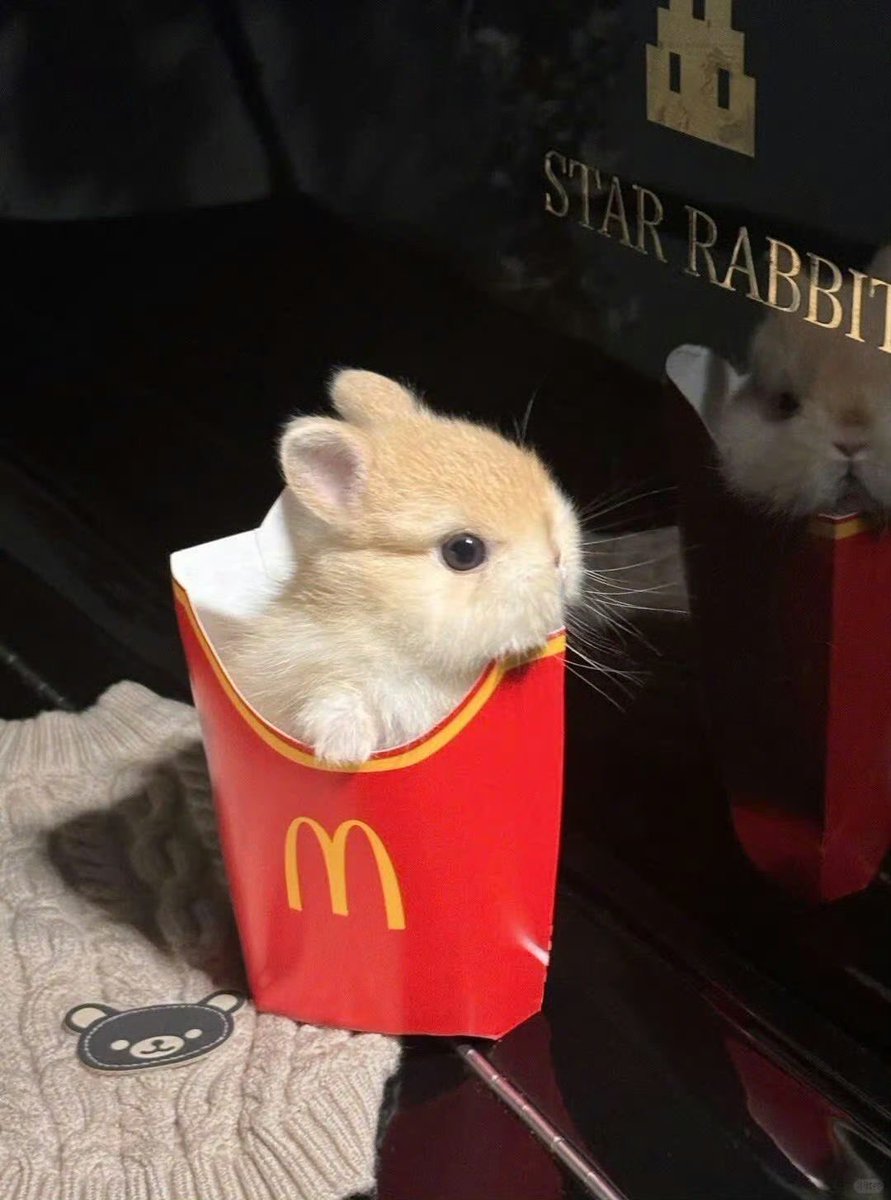 twaniimals's tweet image. 