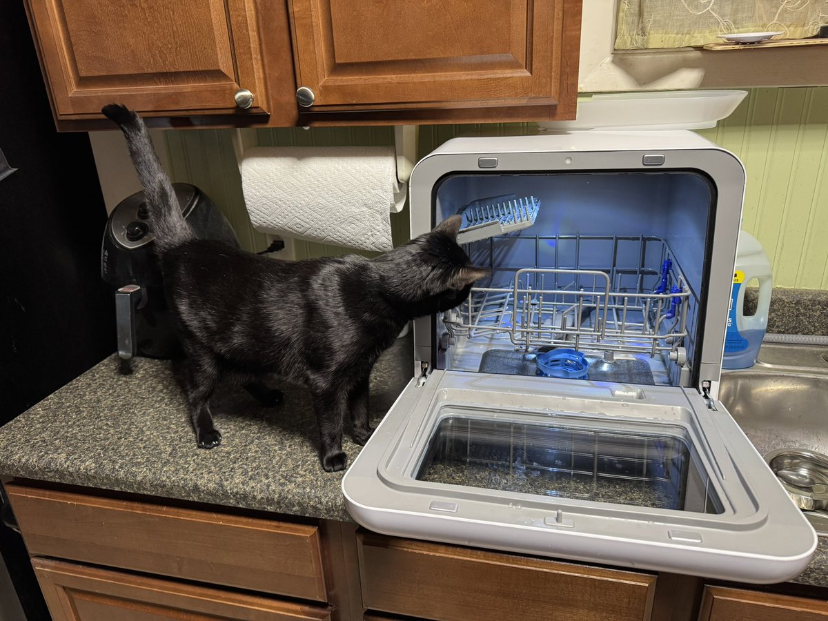 file_id.diz tweet media