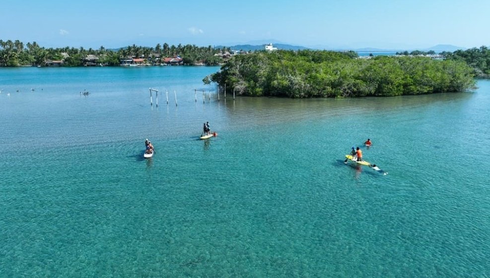 ReporteNoticias tweet media