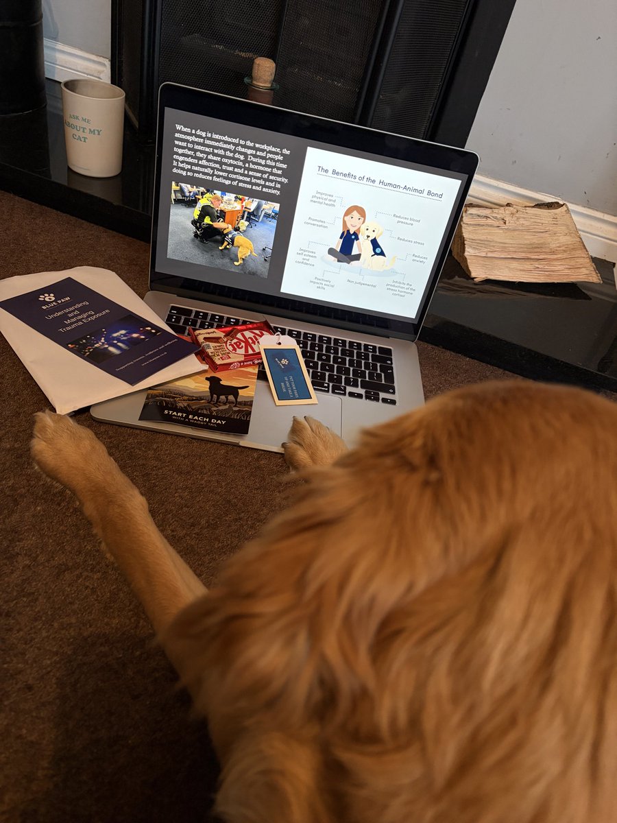 BluepawWB's tweet photo. Admin day today! Maple is starting to learn about presenting and helping get the Paw Packs ready before we head to Flint House Police Rehabilitation Centre next week. We’ll be supporting officers with their physical and mental wellbeing @FlintHouseRehab #bluepaw #wellbeing https://t.co/IhSbU9kw2L