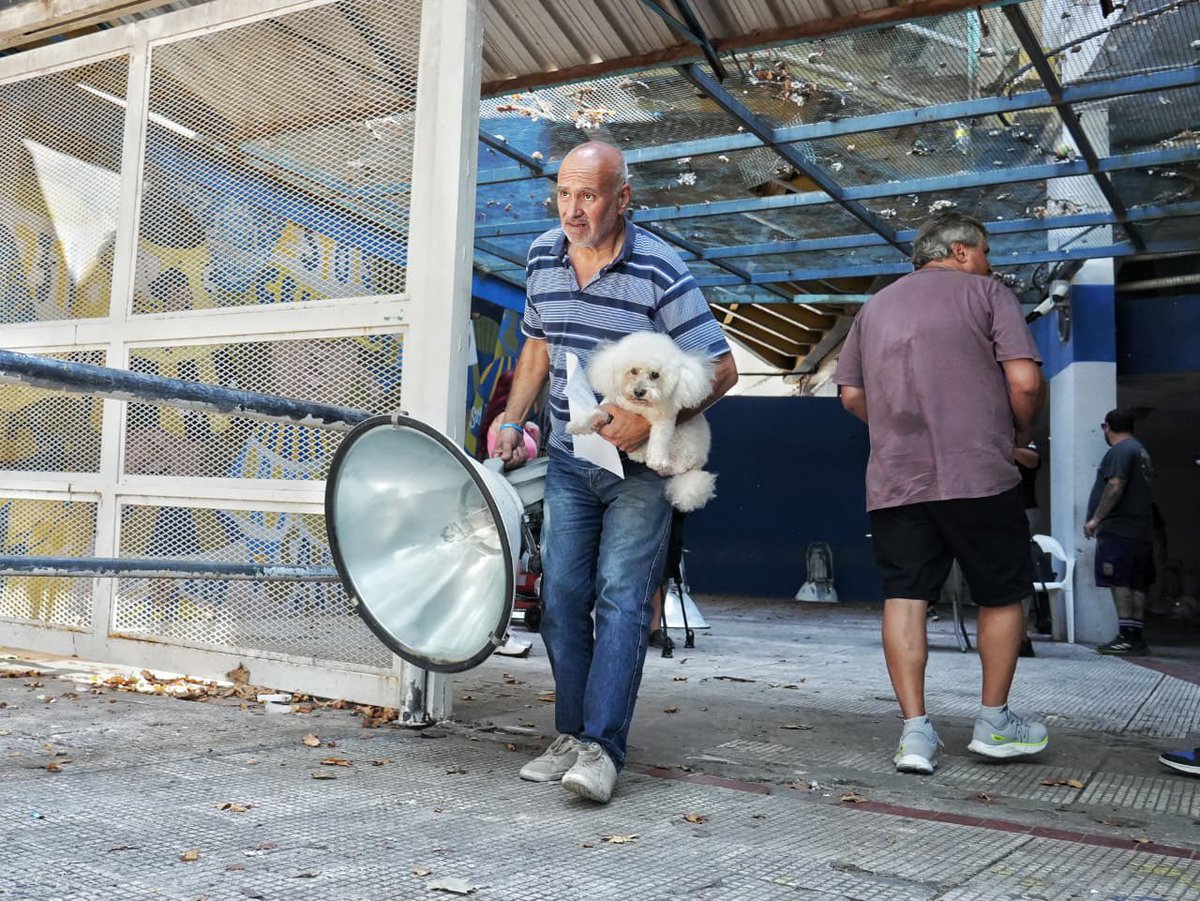 AndiCanepa's tweet image. -Bruja, mirá lo que te traje. 
-La concha de tu madre, Roberto. Te mandé al almacén.