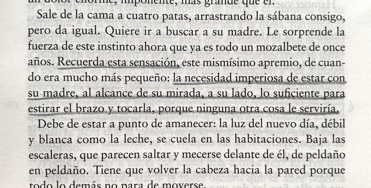 palabras de Hamnet que se quedan conmigo para siempre