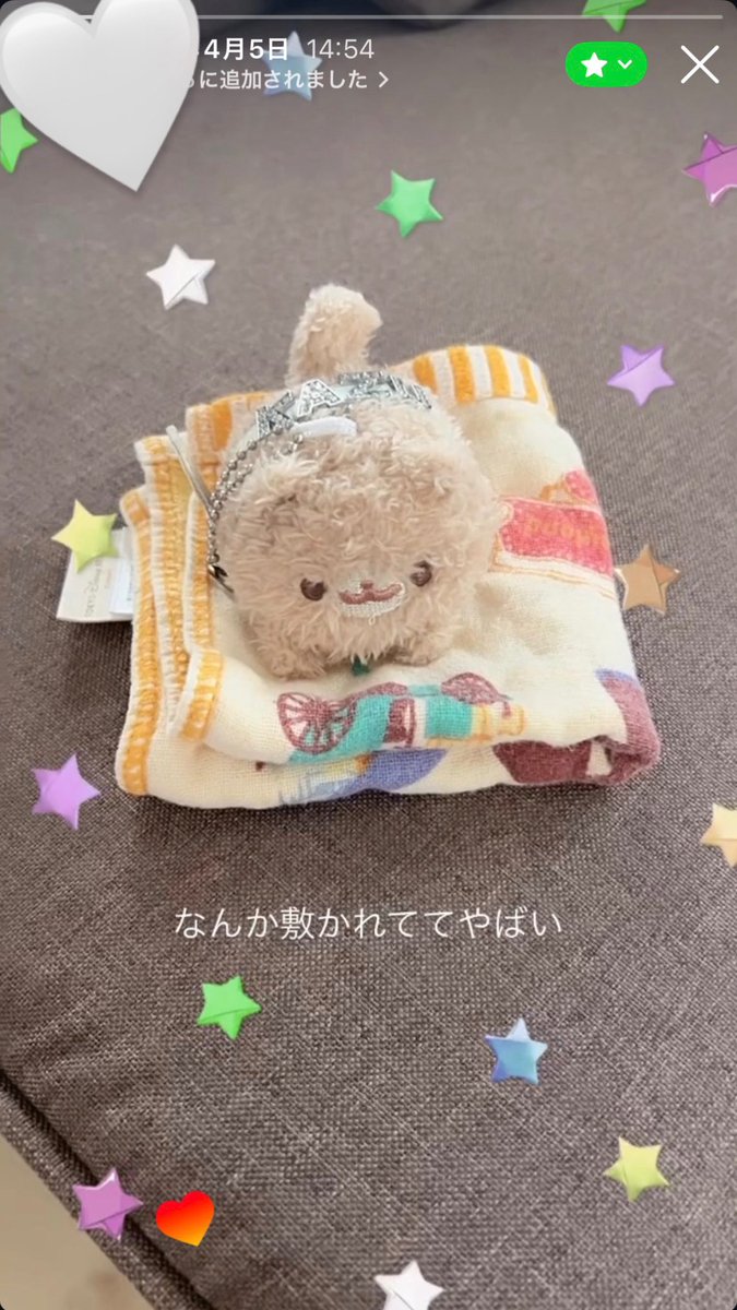 わたしのママも、ポメ適当に置いてたらタオルに寝かせてくれてた