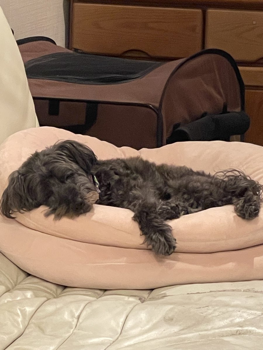 RICO🩷 (@rico319snoooopy) / Posts / X