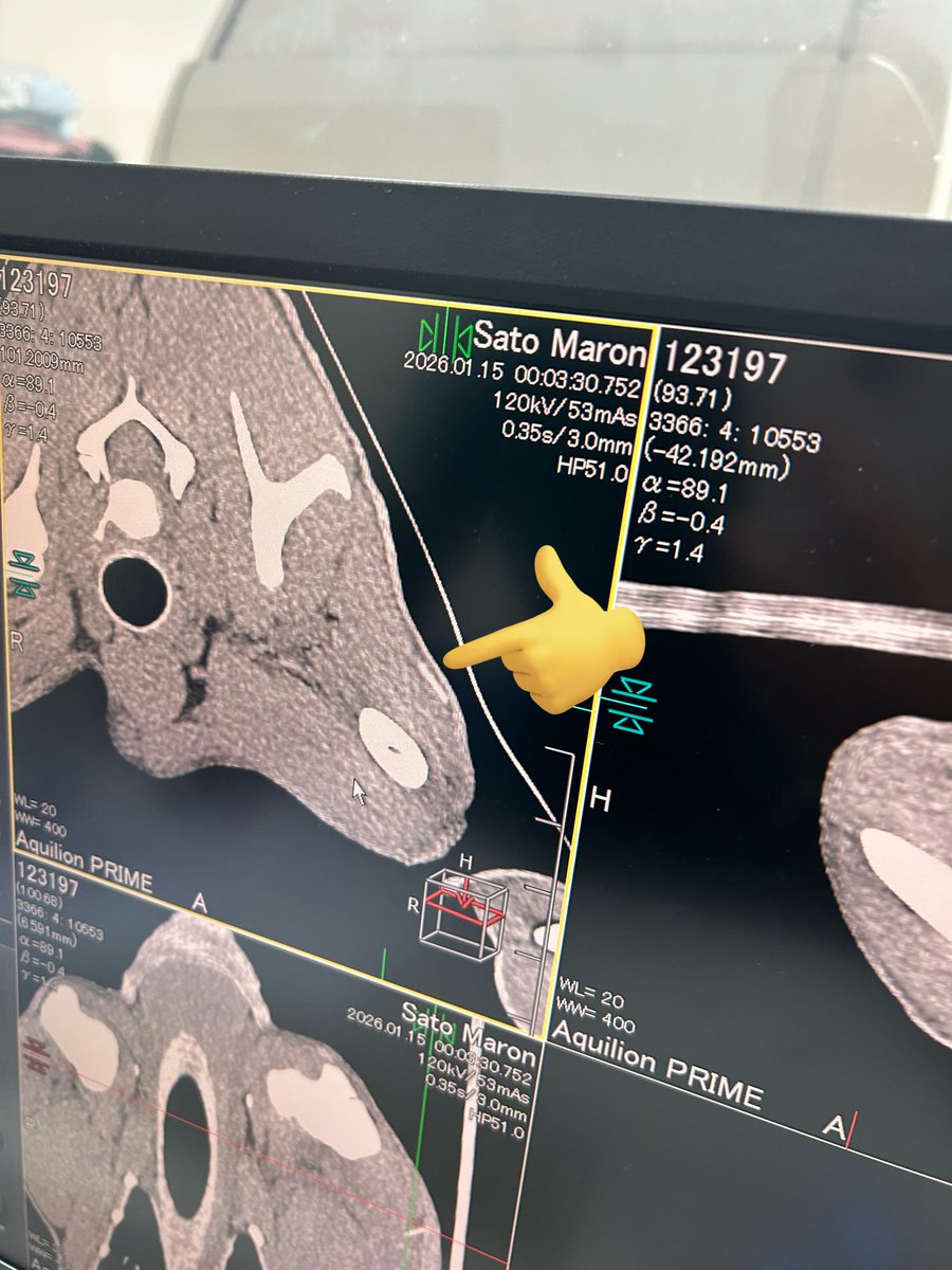 仁菜 (@11ii11a) / Posts / X