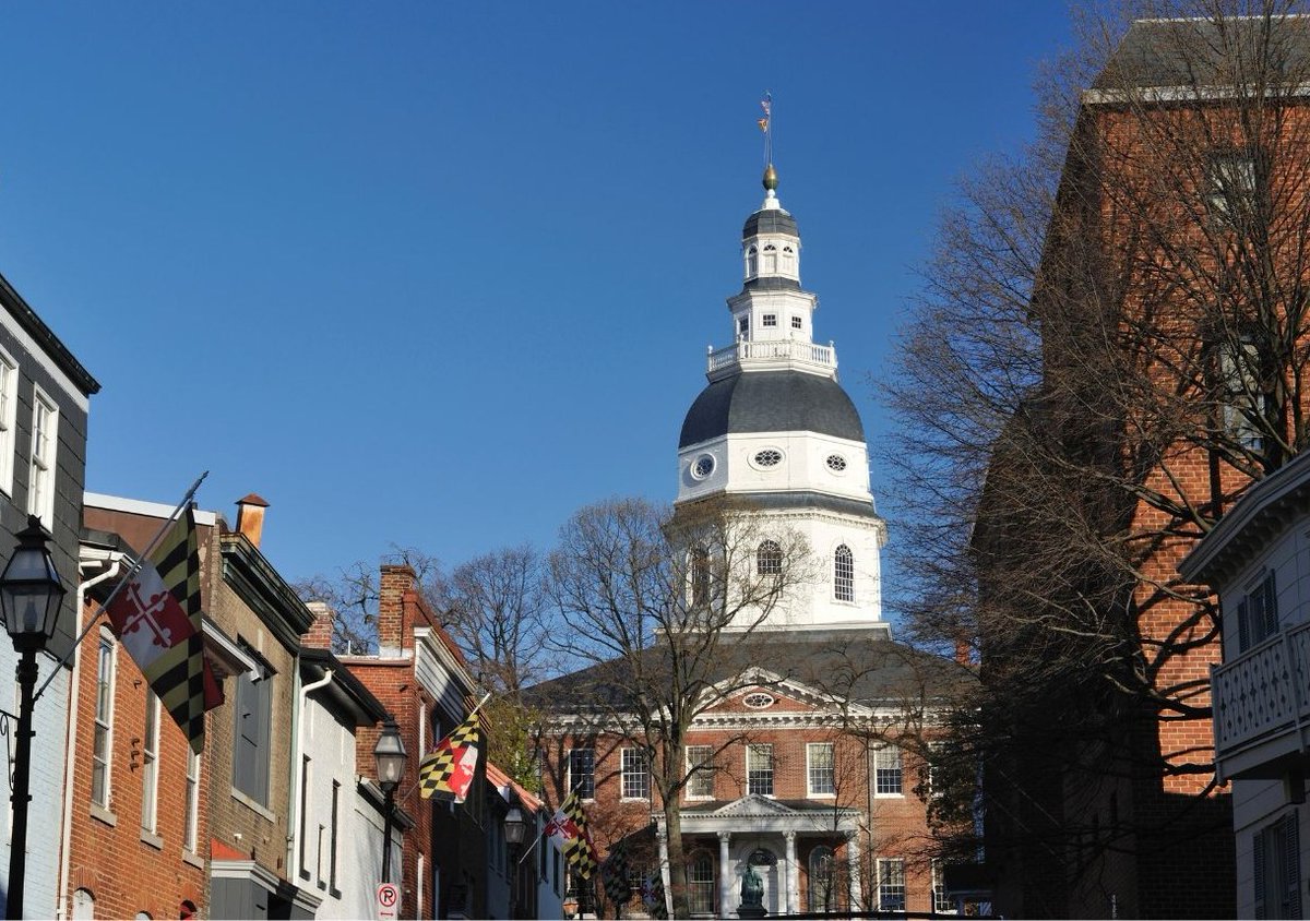 SALI Legal Institute tweet media