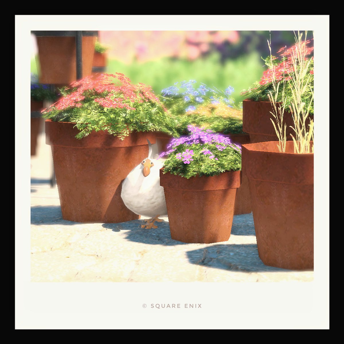 アサ🦤 (@asacmdr) / Posts / X