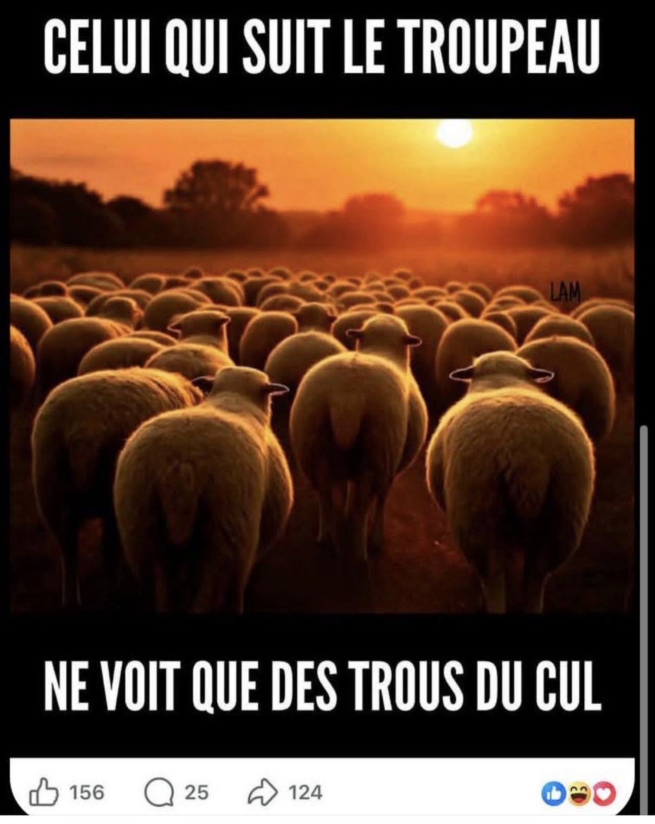 Teodulle's tweet photo. https://t.co/Atar3i4ZRb
