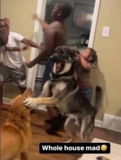 victoria🖤 (@bvttercup12) on Twitter photo 