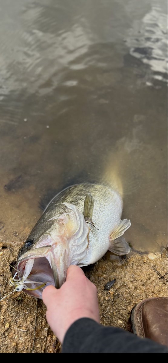 savagebowhunting (@savagebowhunt) on Twitter photo 