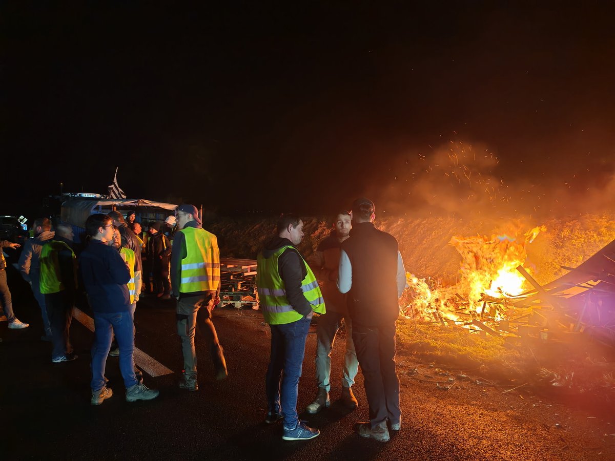 plumedeschamps's tweet image. À Dol de Bretagne, les agriculteurs de la FDSEA viennent d’intercepter 
un camion frigorifique contenant 22 tonnes de poulet venant du Brésil et « destinées à être revendus sous la marque Père Dodu de la Coopérative Terrena », selon un porte parole Thierry Bourgeault sur place.
