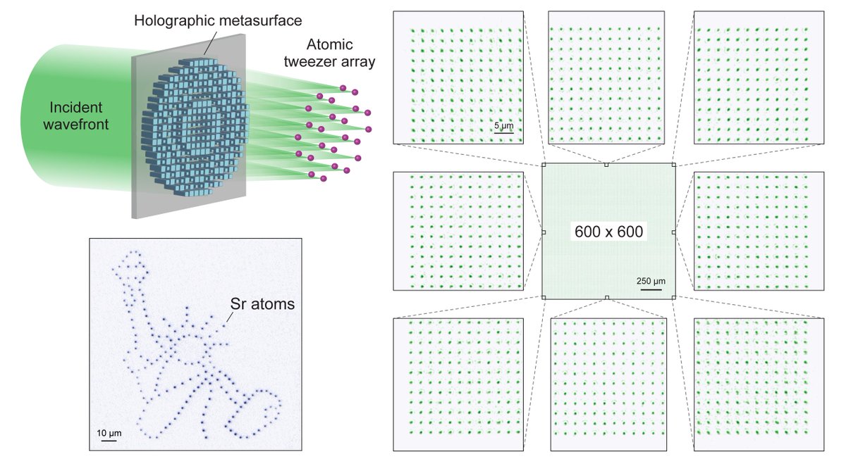 Sebastian Will tweet media
