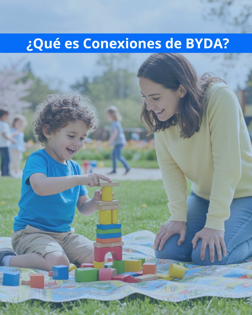 Conexiones de BYDA tweet media