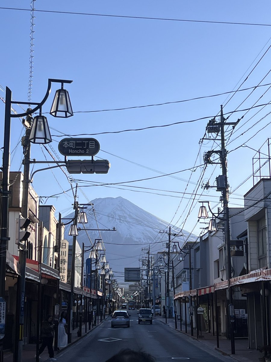 feli 🐔 ling tweet media