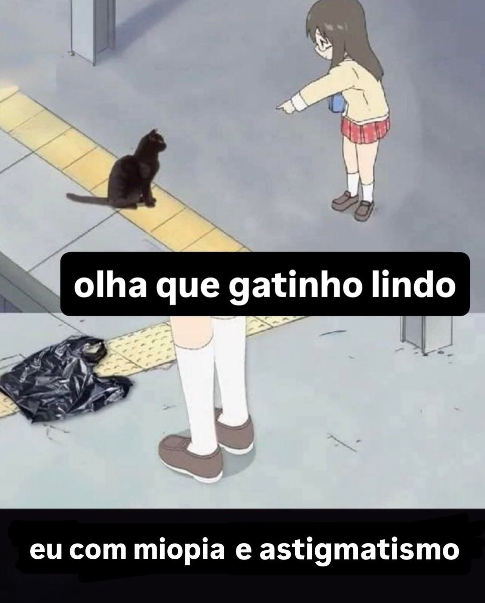 gatinarios's tweet image. 