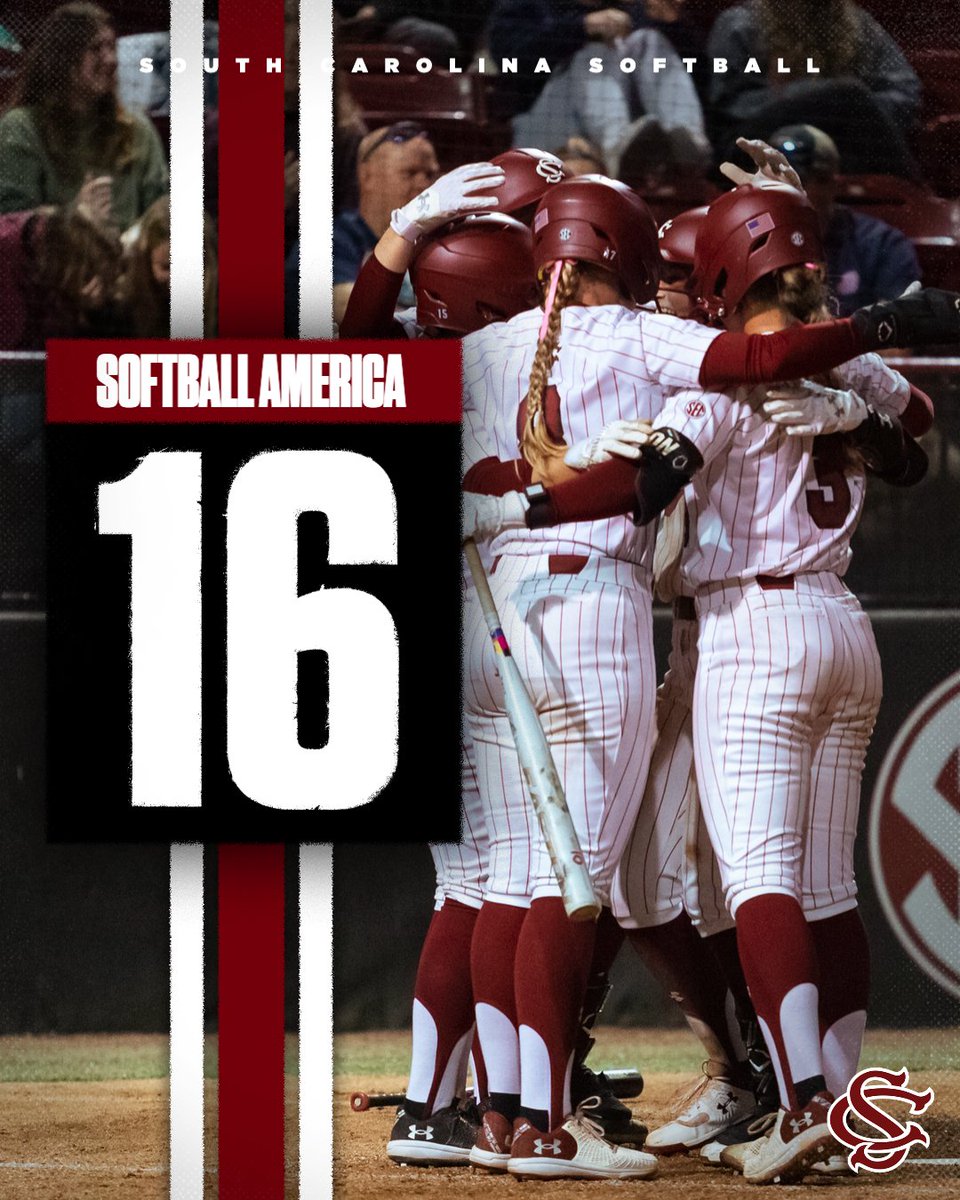 South Carolina Softball tweet media