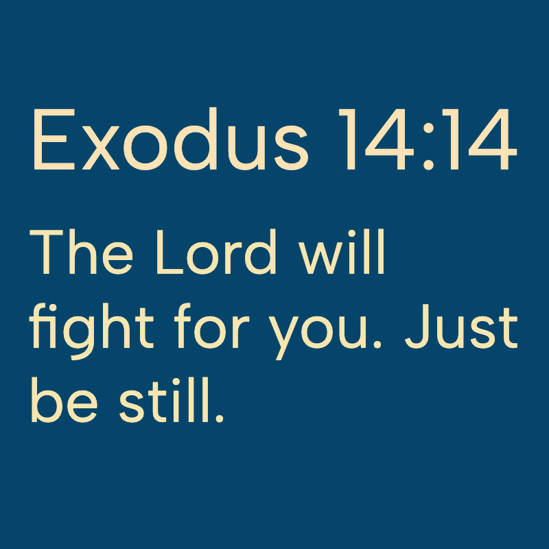 Daily Bible tweet media