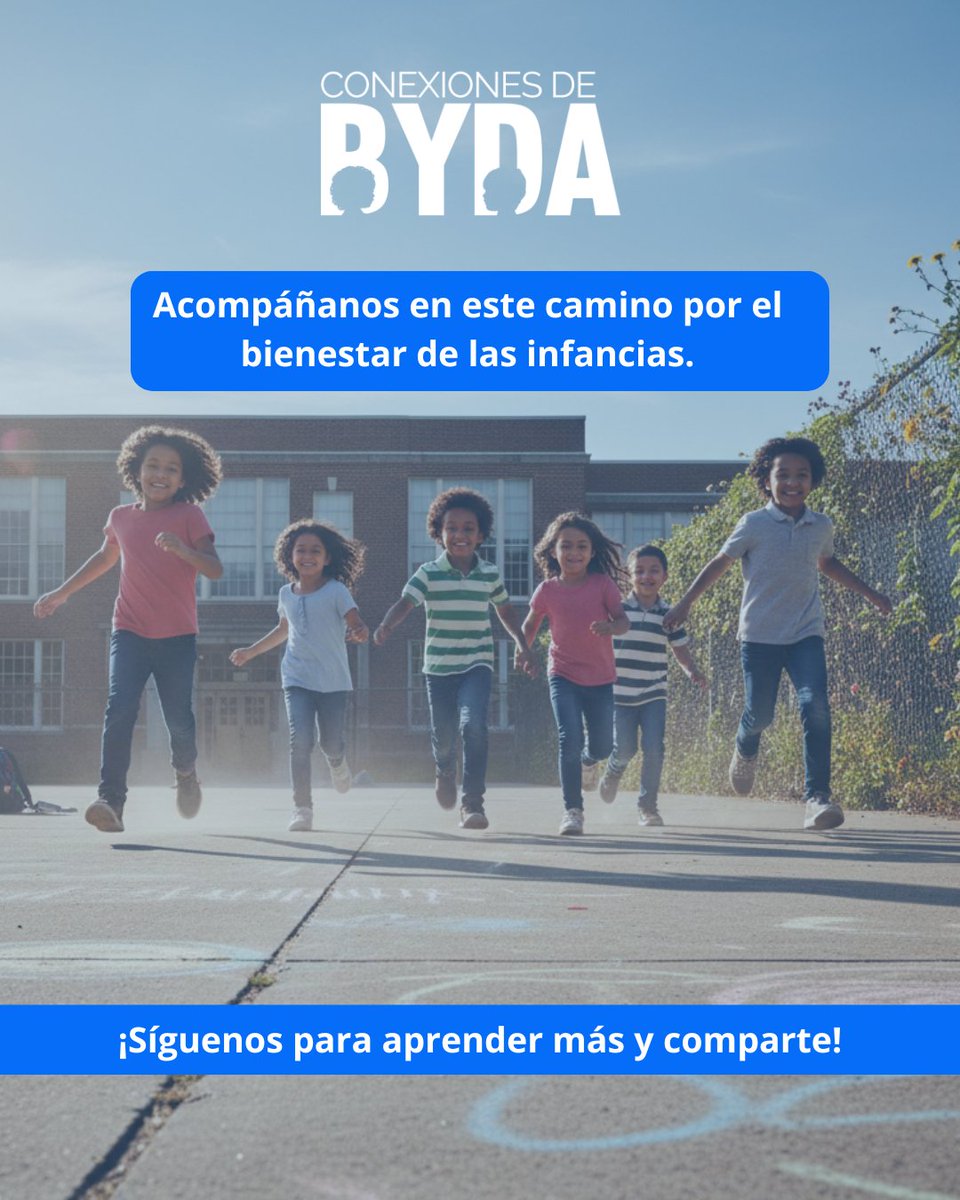 Conexiones de BYDA tweet media