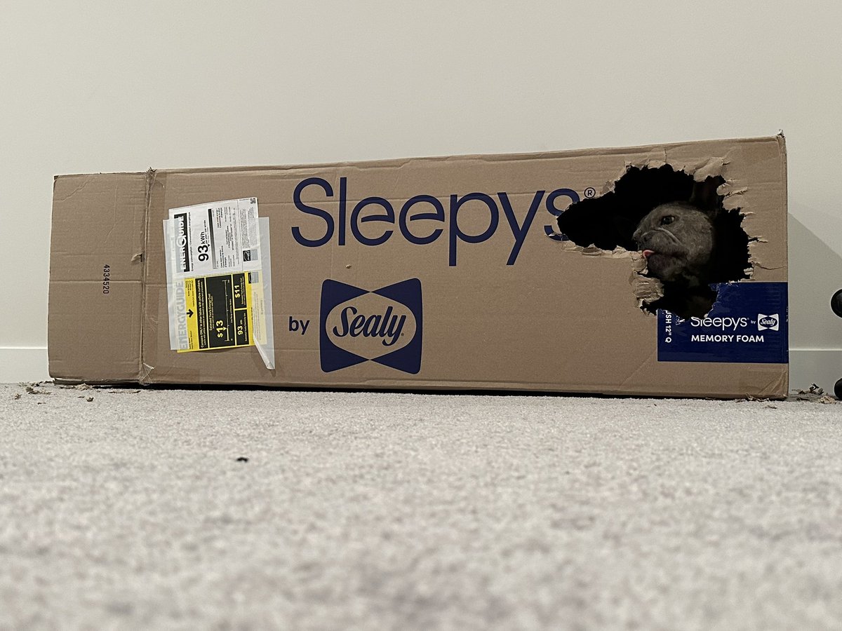 KoffeeKandi tweet media