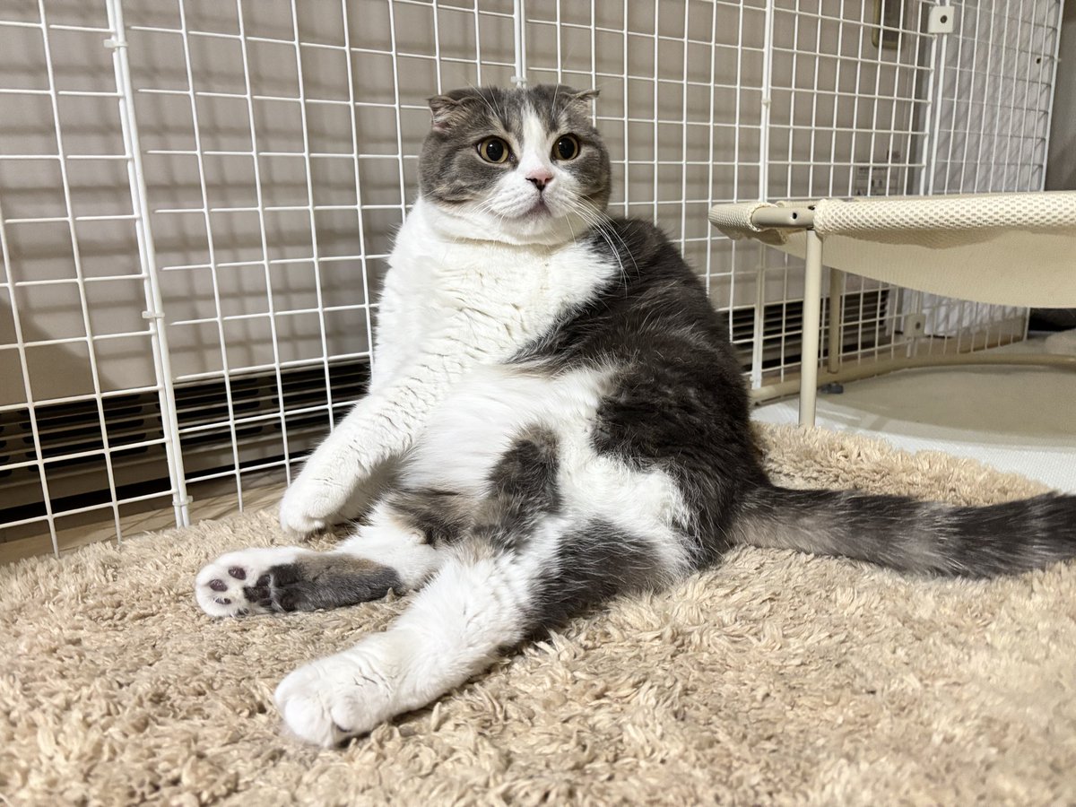 Post by 父ちゃん(=ﾟωﾟ=) on X: おはよう☺️