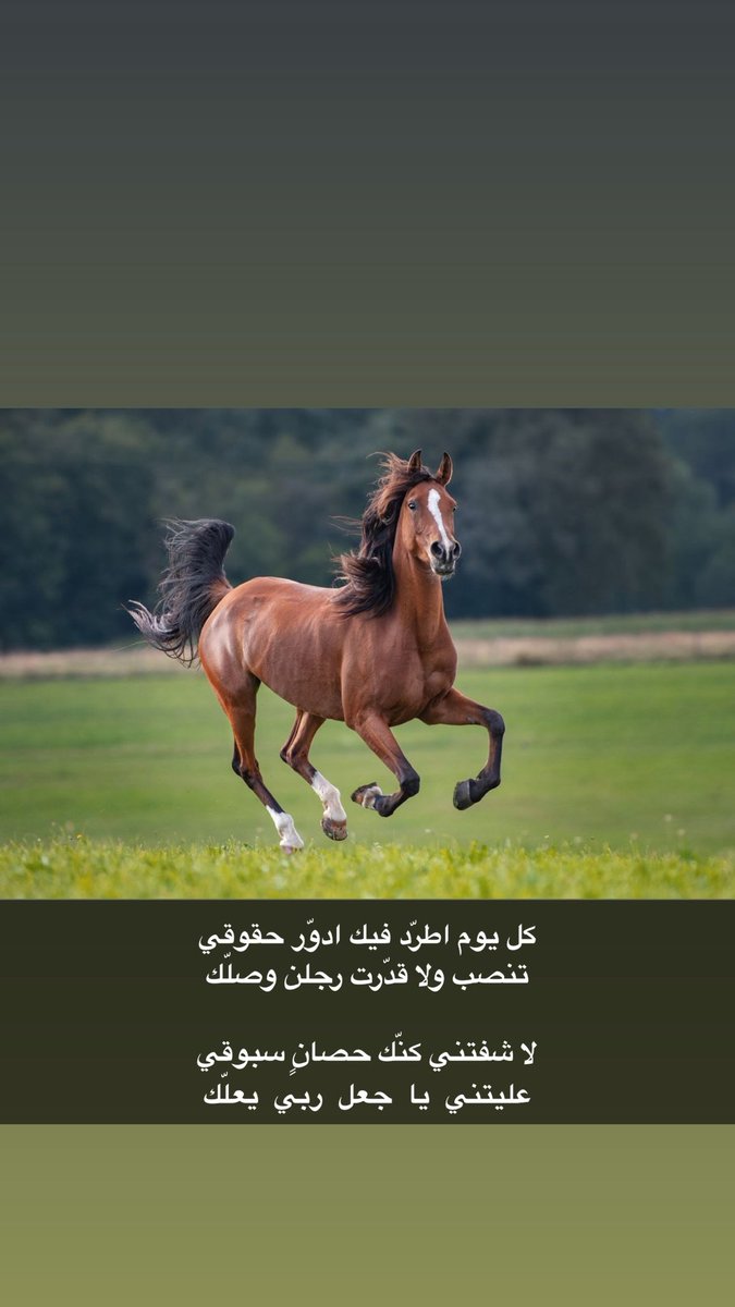 سعود السلمي✨ tweet media