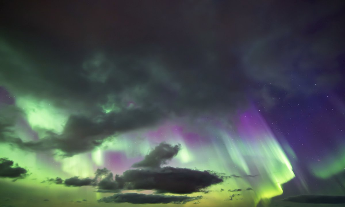 gardenofcolours's tweet image. 