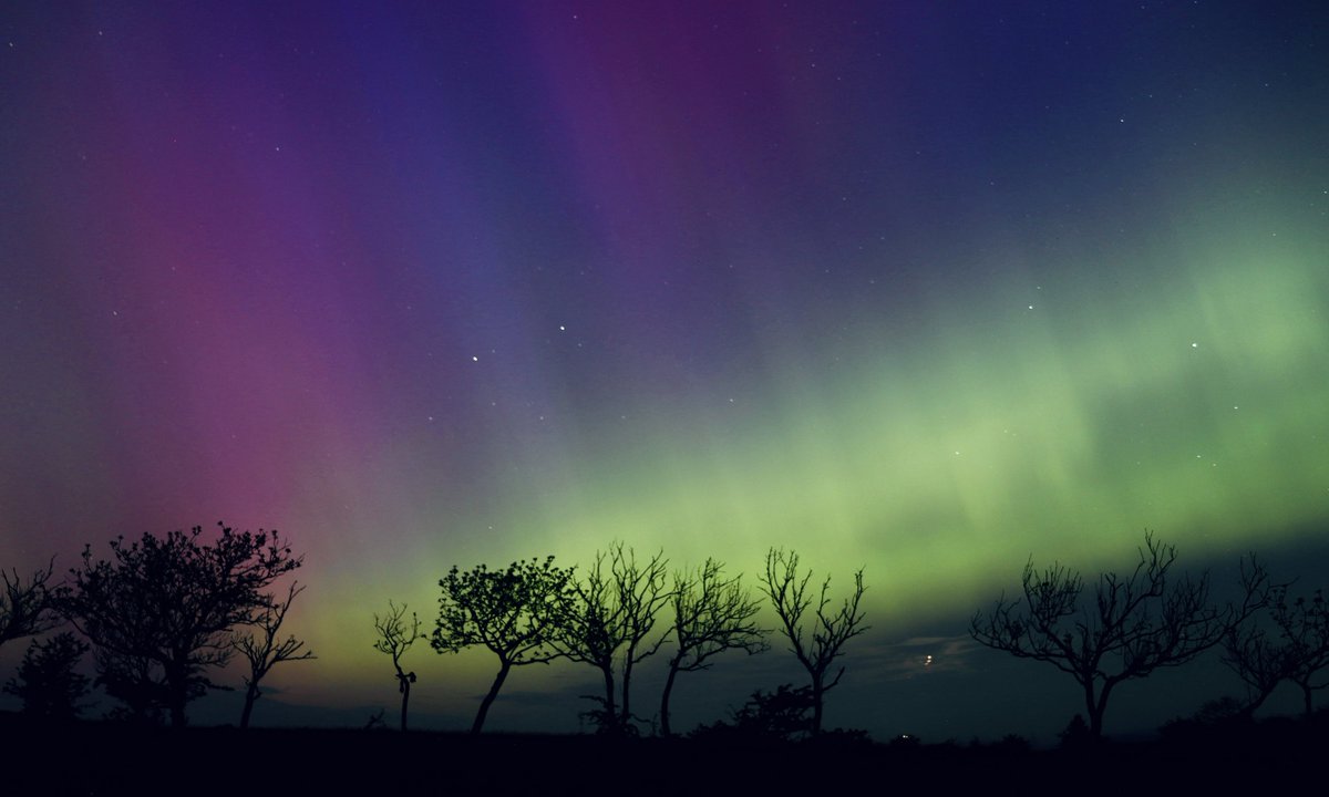 gardenofcolours's tweet image. 