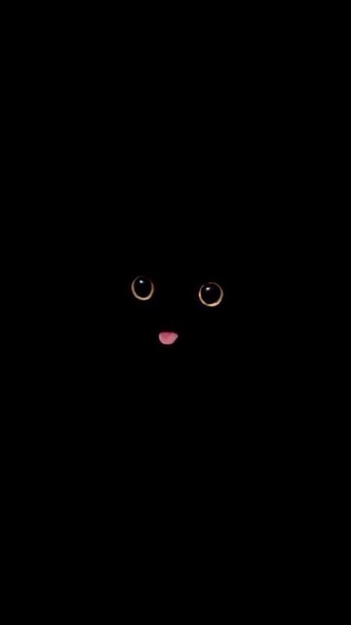 ThePetsX's tweet photo. https://t.co/ySjcrvtEjT