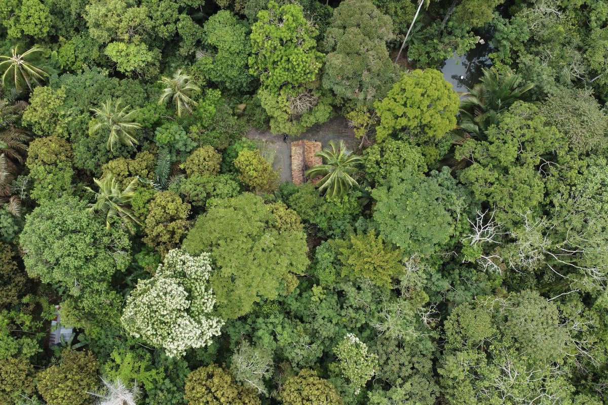 ceritanet's tweet photo. Salam,
Terbit https://t.co/6xujxFqYdN edisi Januari 2026. Cerpen Heri Heiling menuturkan kesaksian meranti merah akan penghancuran hutan di anak Sungai Kahayan, dan puisi T Wijaya menangis bersama Ibu di Bukit Barisan, serta puisi Selat dari A. Dion Laep. Foto oleh Ariadi Damara. https://t.co/hKEgXDAwL2