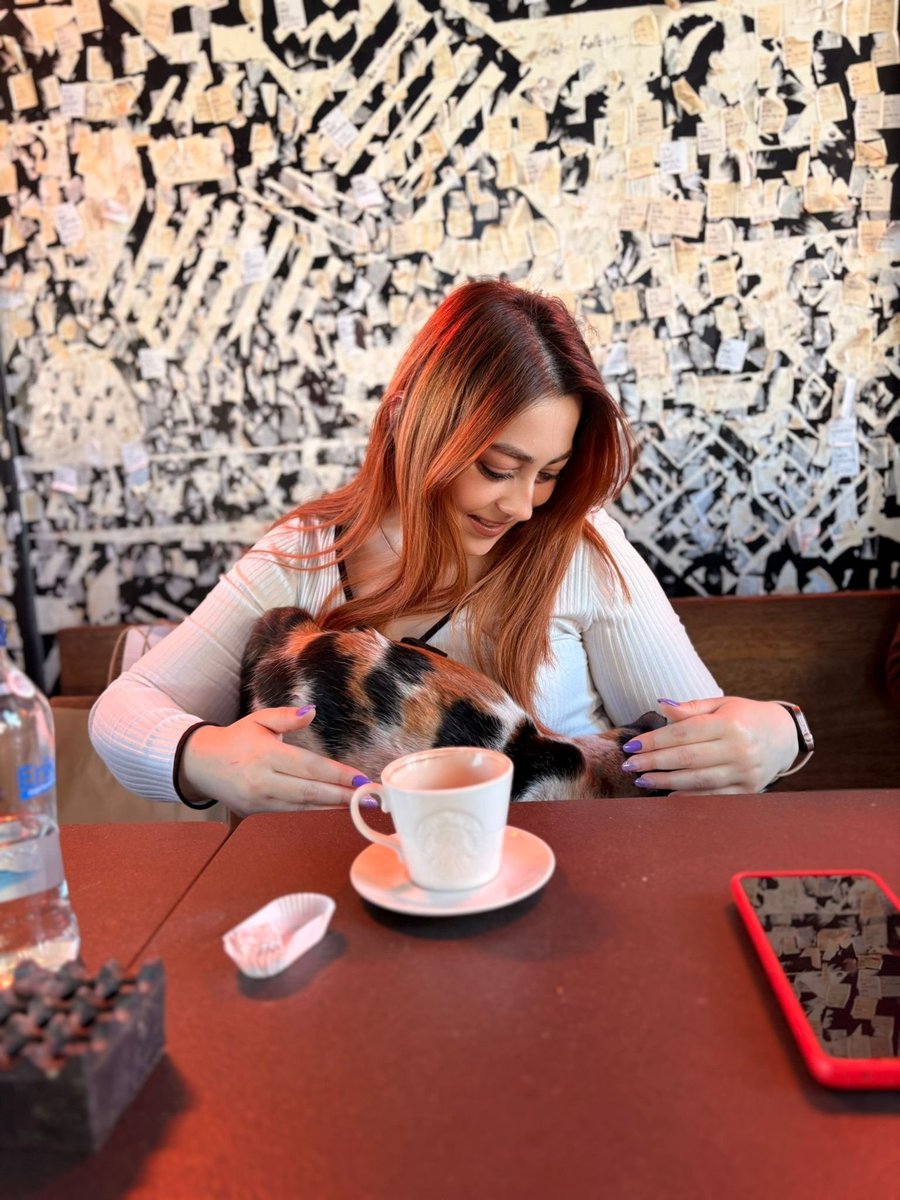 yuetv_'s tweet photo. Bazı şeyleri kediye anlattım benim yerime halledecek  🫠 https://t.co/QWges5Ka7a