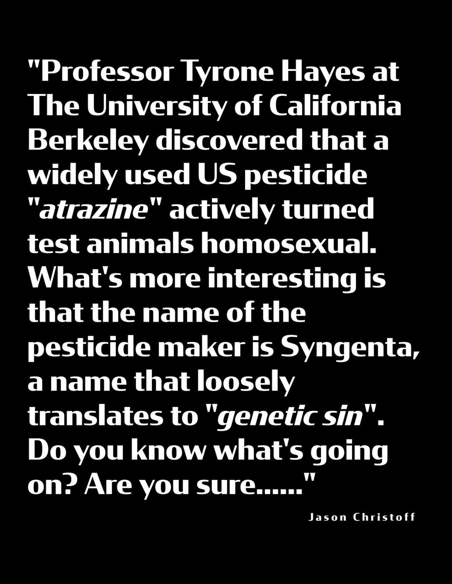 Jason Christoff tweet media