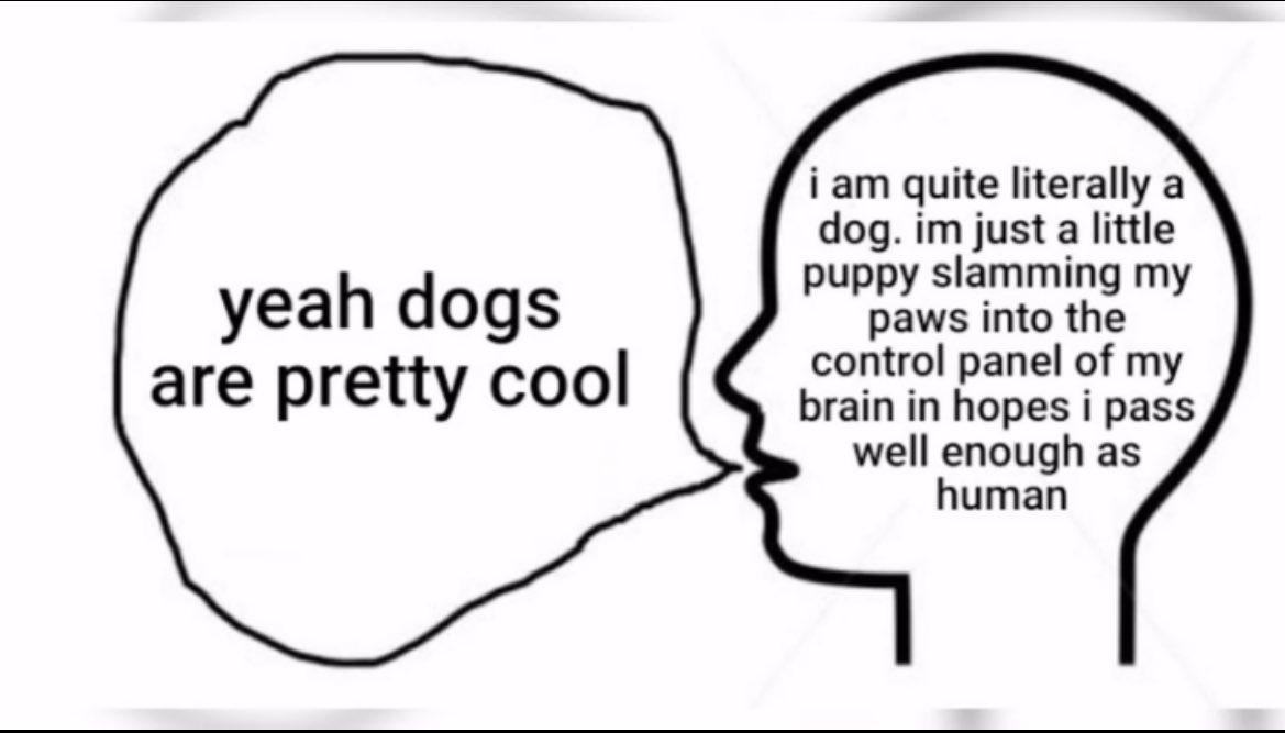 kent_qy's tweet image. 