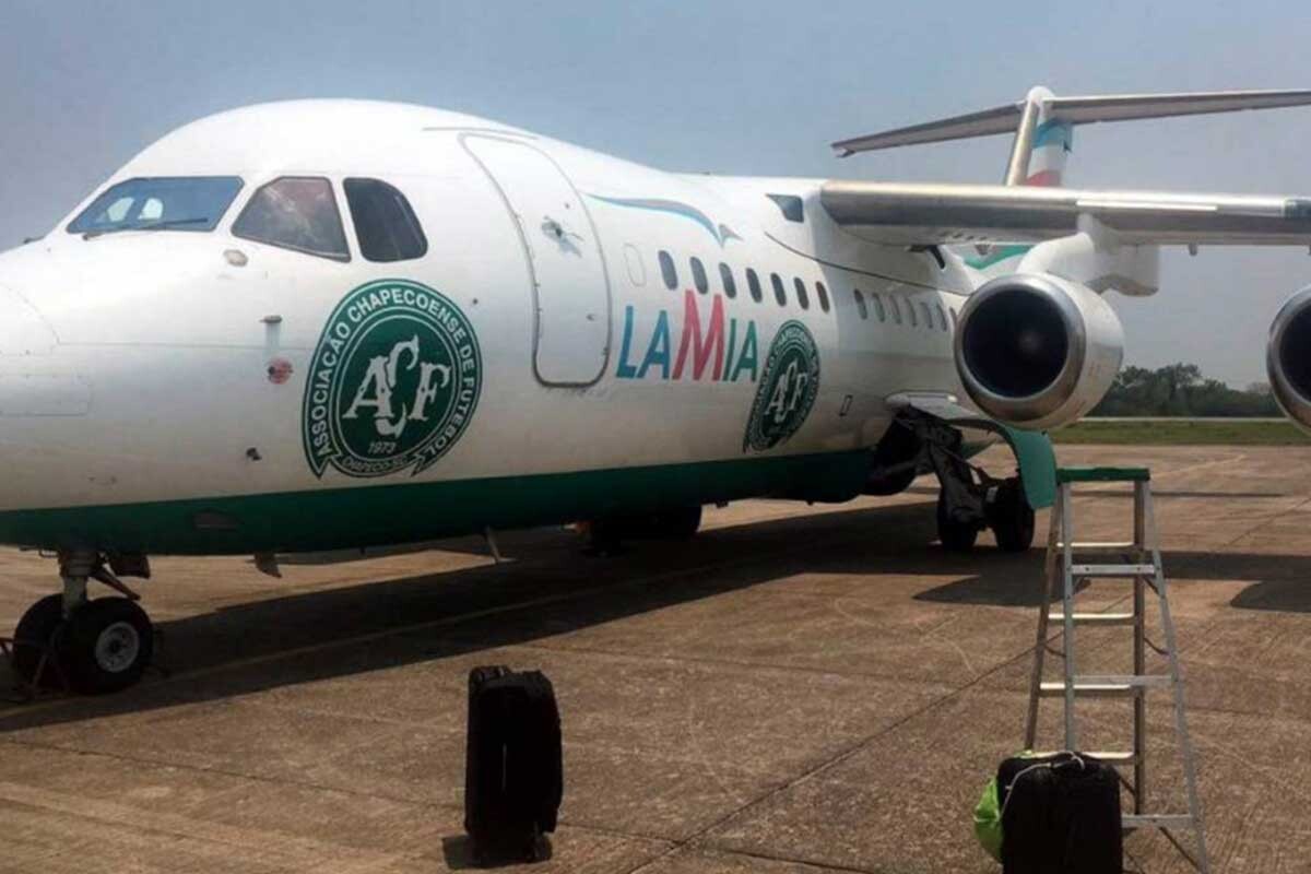 que vuelvan en avión también. En este concretamente