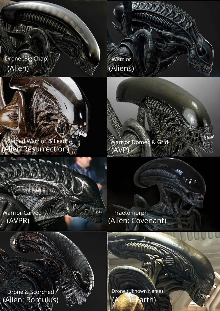 AvPOdysseyDB's tweet image. Xenomorphs