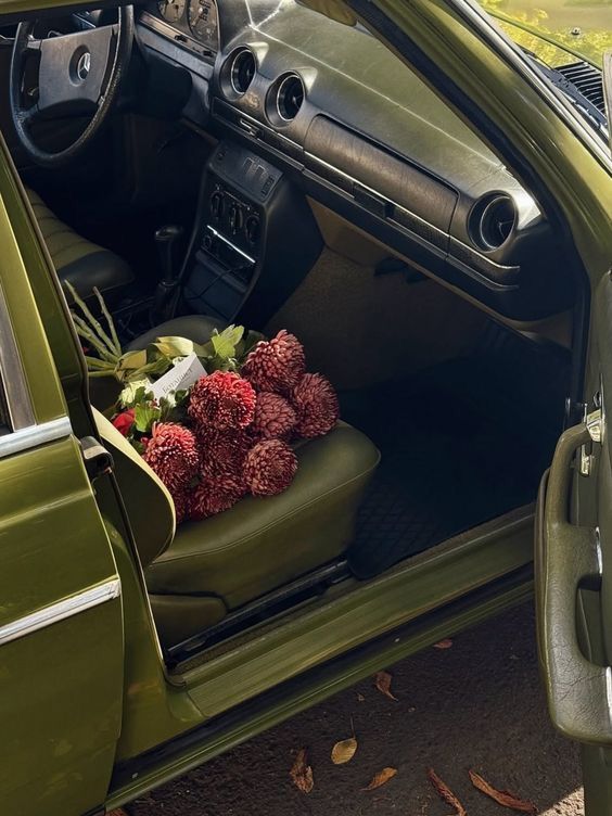 greenvibe's tweet image. 