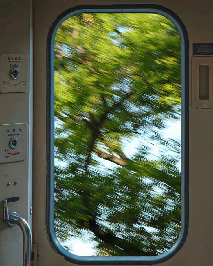 greenvibe's tweet image. 