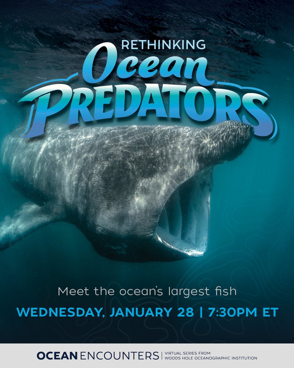 Woods Hole Oceanographic Institution (WHOI) tweet media