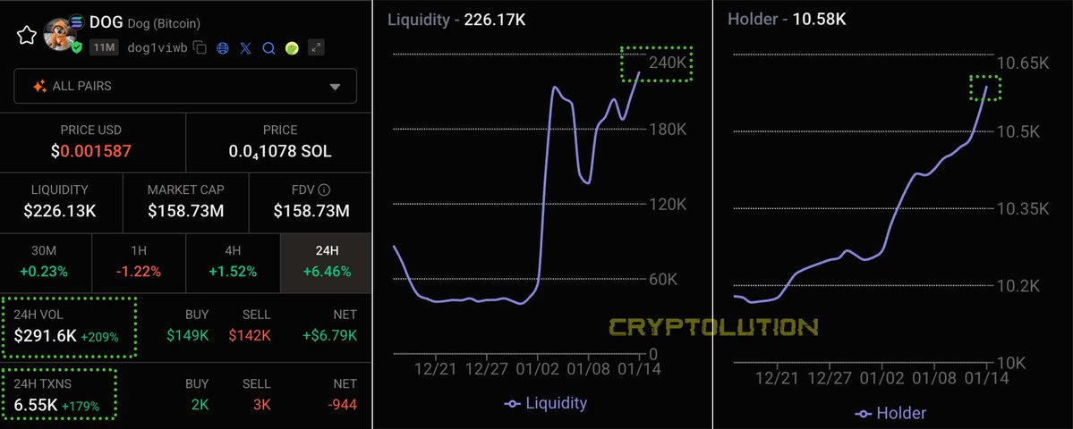 As @Coinbase begins customer access to buying $DOG around the world, a noticeable surge in trading volume, transactions, holder count and liquidity on @Solana 🤯