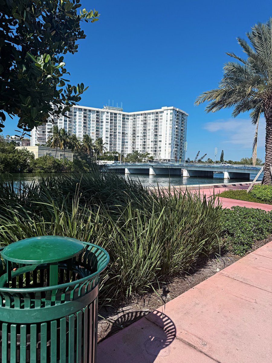 Fatalbarbi's tweet photo. Miami thang 🏝️😊🤍 https://t.co/kfLZafpl11