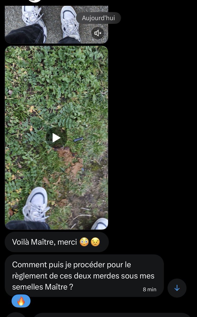 SockMasterFr's tweet photo. Idée d’activité de sousmerde : aller écraser des merdes dans la rue, et raquer pour chaque merde écrasée
💩👟🧠😈
#findom #dogshit #sousmerde https://t.co/ebjCuQKLl8