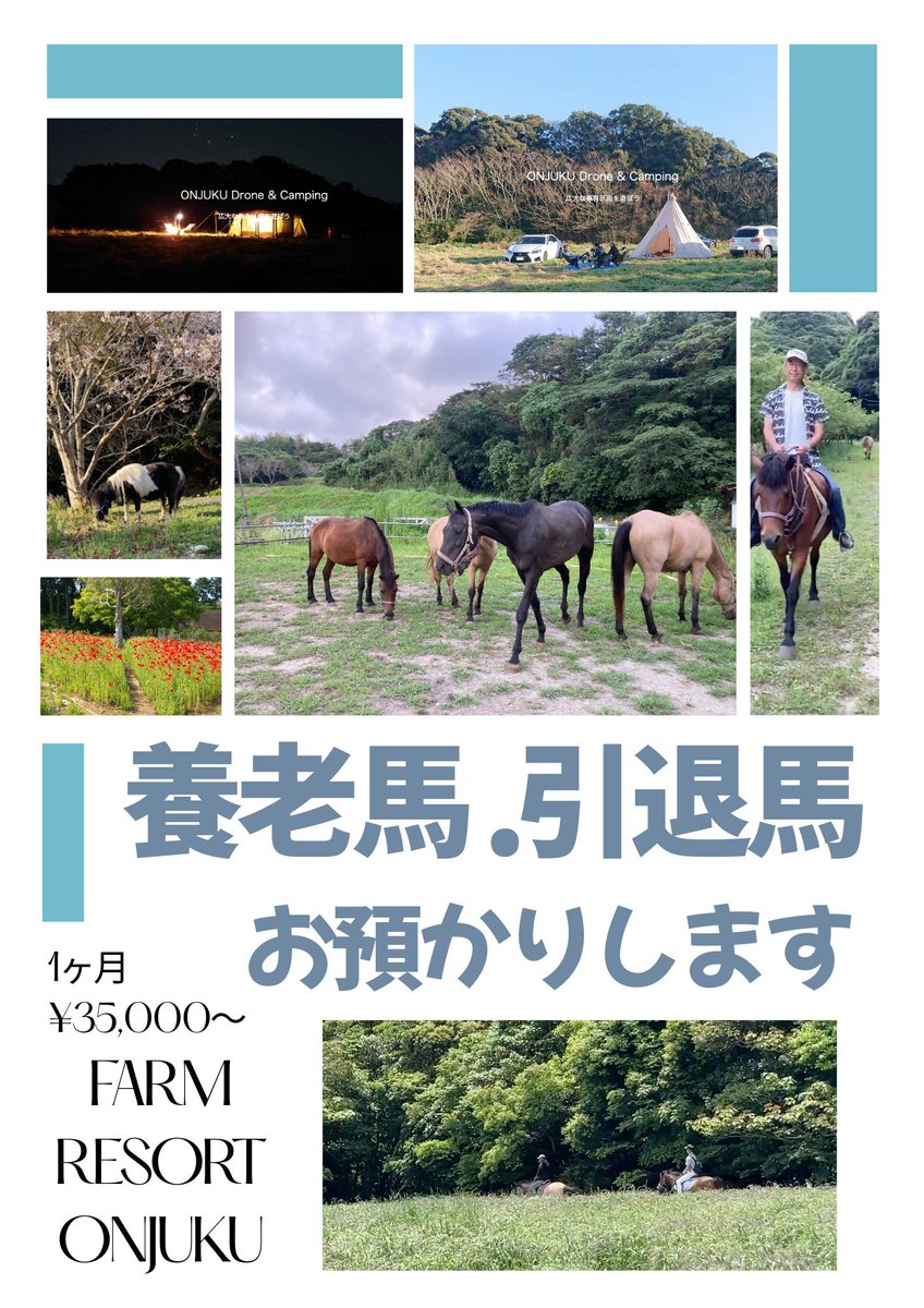 馬と遊ぶ「FARM RESORT ONJUKU 」 tweet media