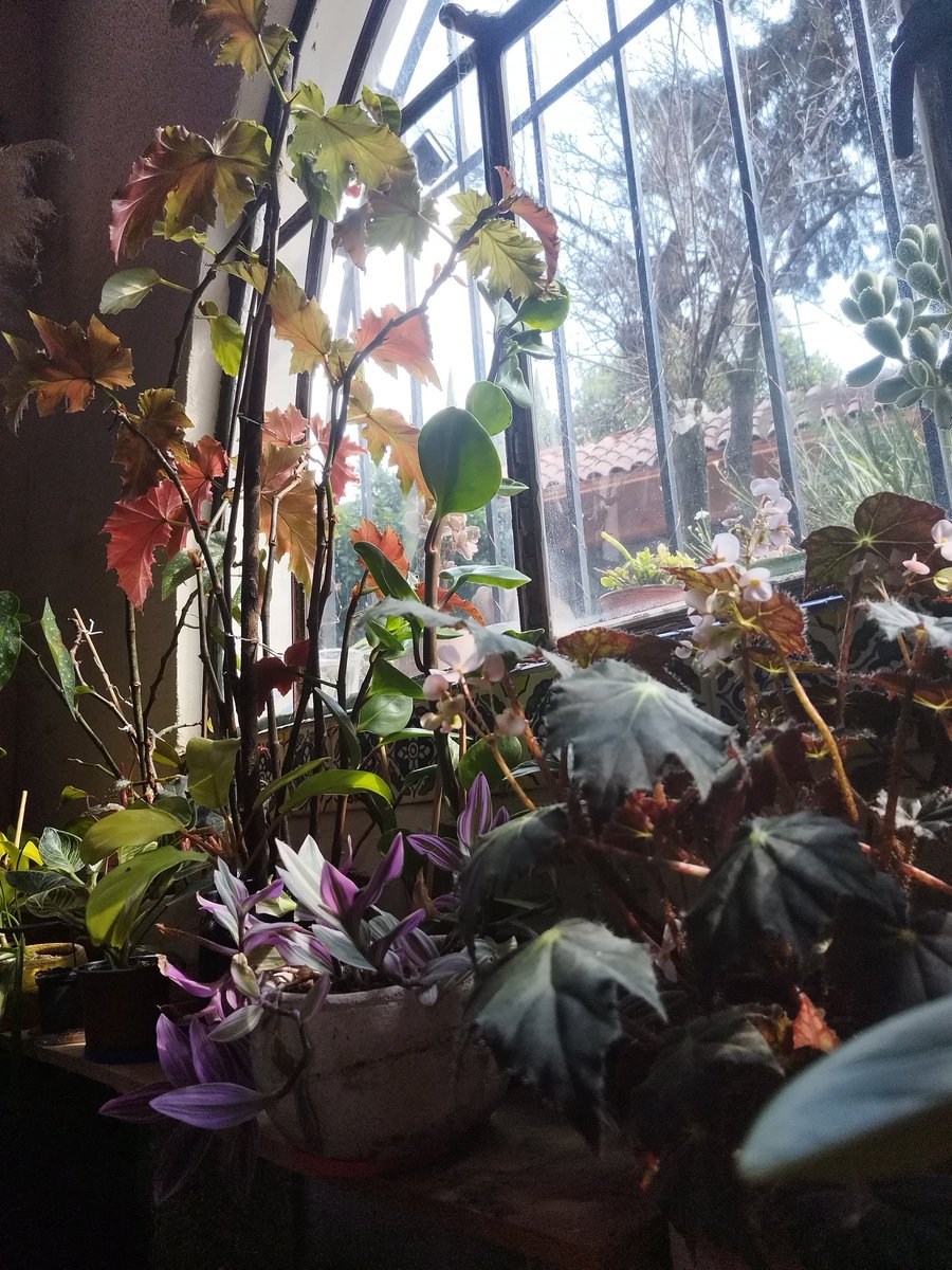 otsor's tweet image. Se quiere ir el señor sol 😣