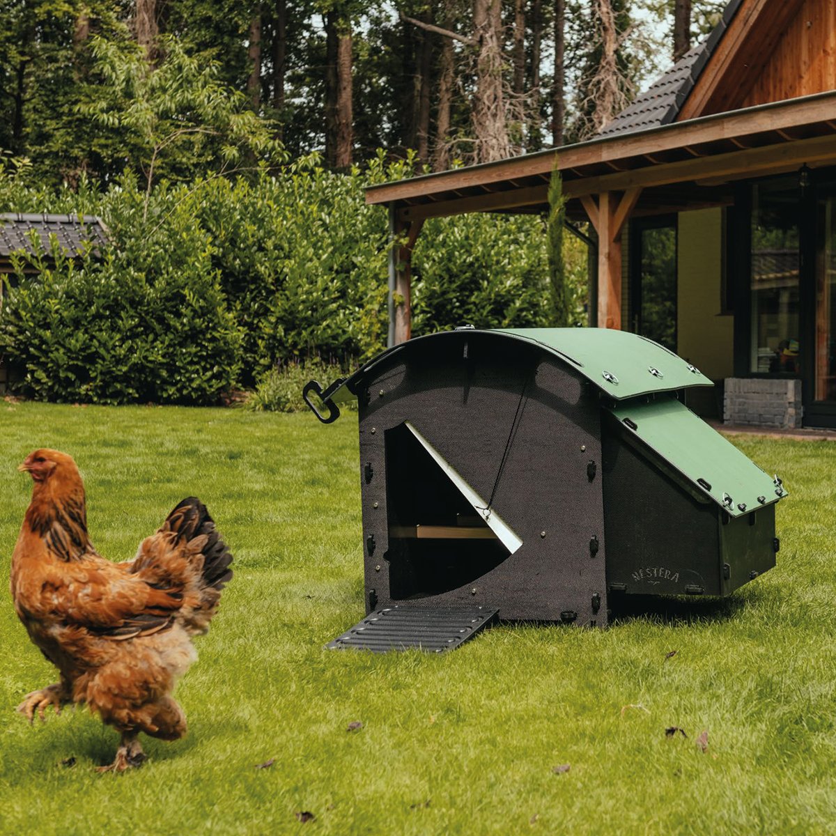 Products's tweet photo. Upgrade your flock's home with Nestera coops: durable, easy-clean, mite-resistant for ultimate comfort!
