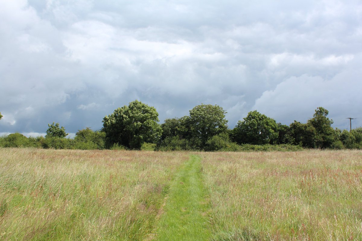 Native Woodland Trust tweet media