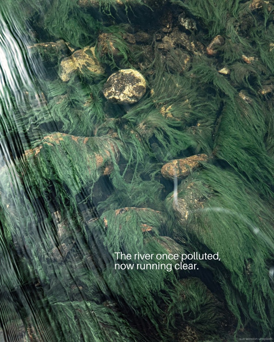colombeuw's tweet photo. Resilience is what enables people and nature to bounce back from crises:the forest that regrows after fire,the coral reef that resists bleaching,the harvest that survives drought,and the solidarity among countries.
#ClimateAction
#ecosquadinitiative
#ecosquad_in https://t.co/jrHjDicbCj