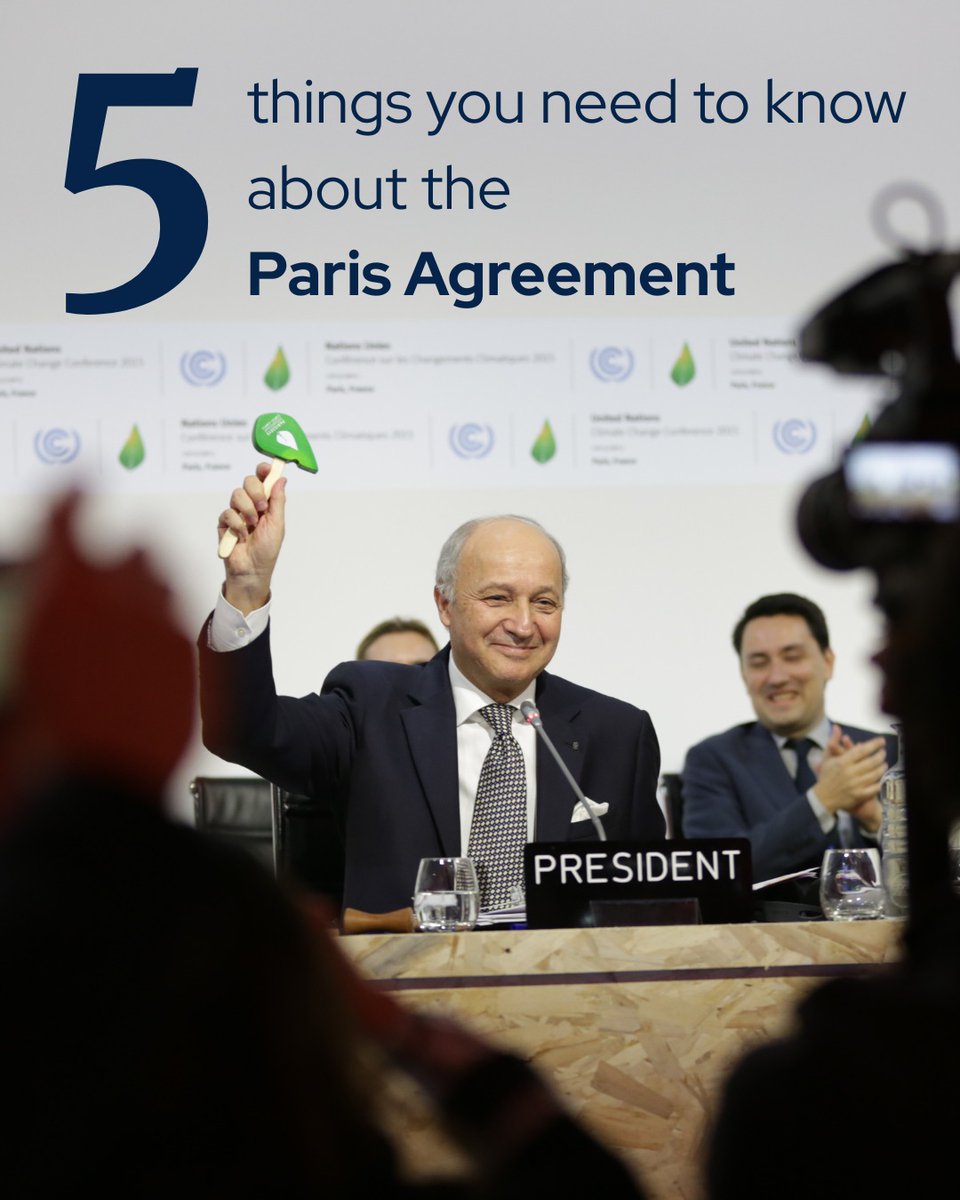 colombeuw's tweet photo. When the world works together on climate action,we can achieve real progress.
#ecosquadinitiative 
#ecosquad_in https://t.co/UkO86QVdCD