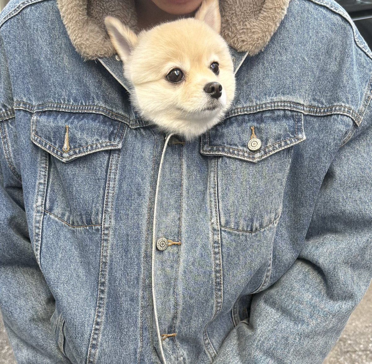 잡코인판매[구글도배,구글찌라시 텔 𝐒𝐄𝐎𝟗𝟐𝟏]OTC장외거래.ora